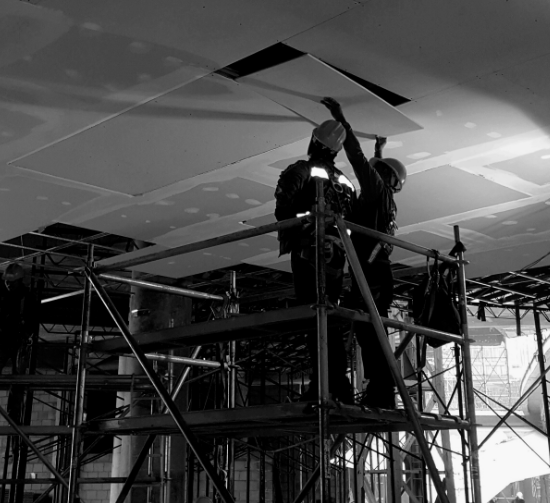 SISTEMA-LIVIANO-2-608x608